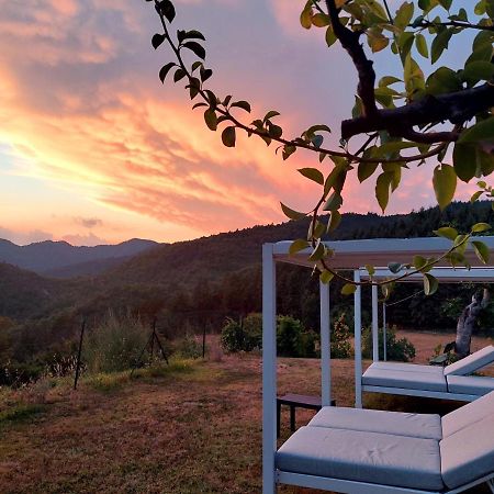 Villa Giuliana B&B Scarperia Bagian luar foto