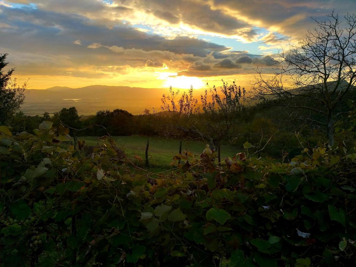 Villa Giuliana B&B Scarperia Bagian luar foto
