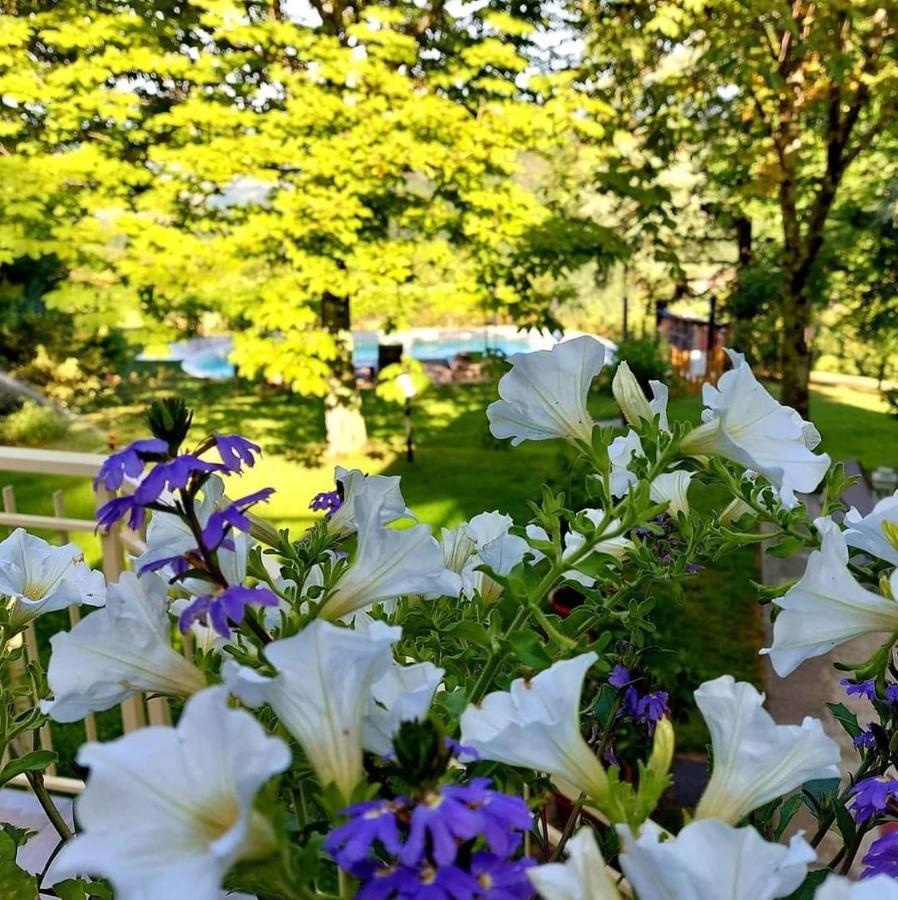 Villa Giuliana B&B Scarperia Bagian luar foto